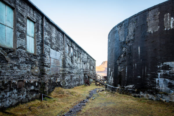 Zomerreis Westfjorden en Snaefellsnes IJsland-12