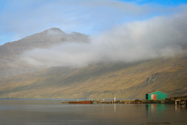 Zomerreis Westfjorden en Snaefellsnes IJsland-3