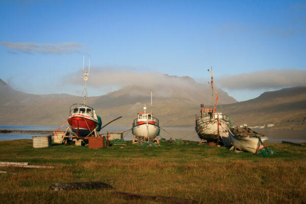 Zomerreis Westfjorden en Snaefellsnes IJsland-4