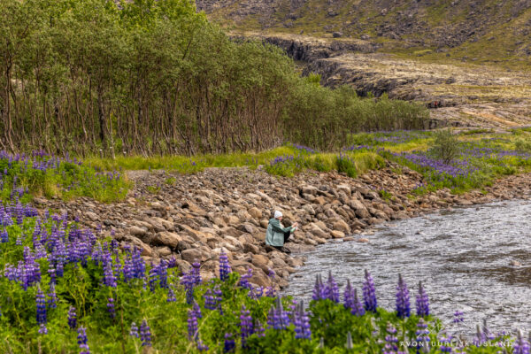 Avontuurlijk Rondje ijsland-51
