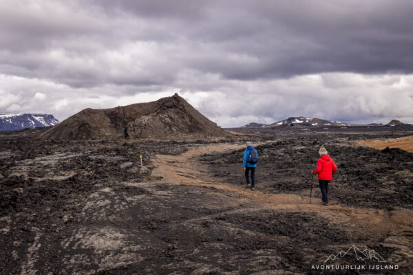 Avontuurlijk Rondje ijsland-90