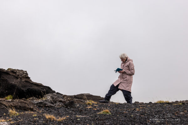 Noorderlichtreis IJsland-10