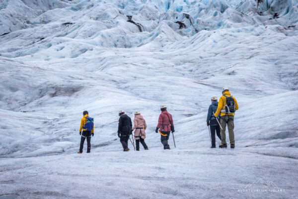 Noorderlichtreis IJsland-22