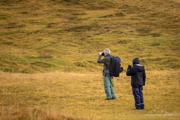 Noorderlichtreis IJsland-5