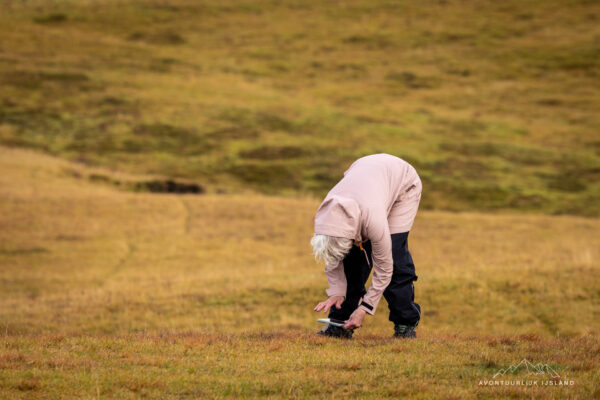 Noorderlichtreis IJsland-6
