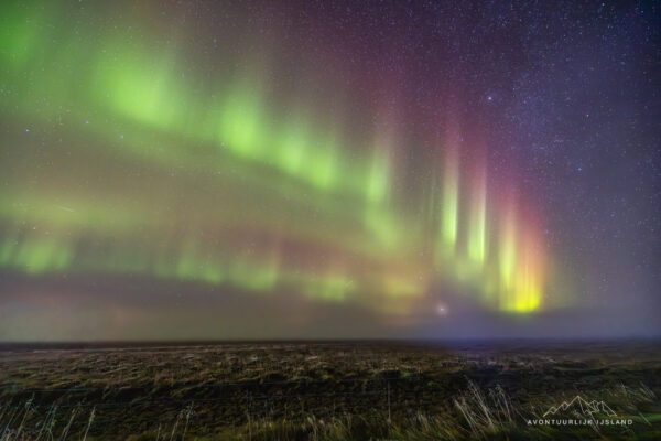 Noorderlichtreis IJsland-62
