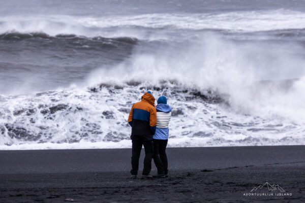 Winter en noorderlichtreis feb 2026-10