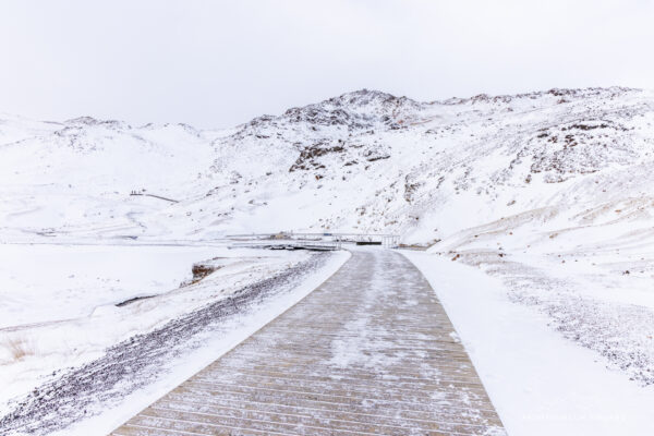 Winter en noorderlichtreis feb 2026-182