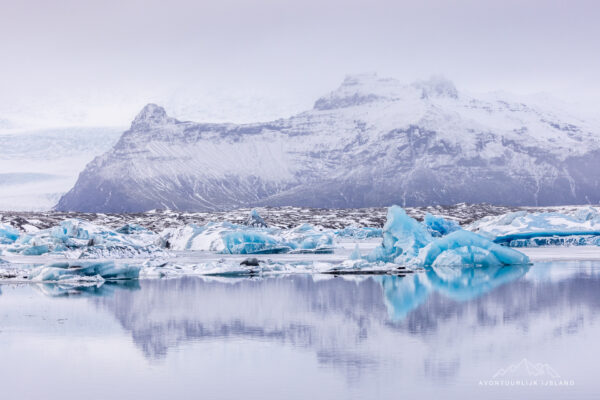 Winter en noorderlichtreis feb 2026-34