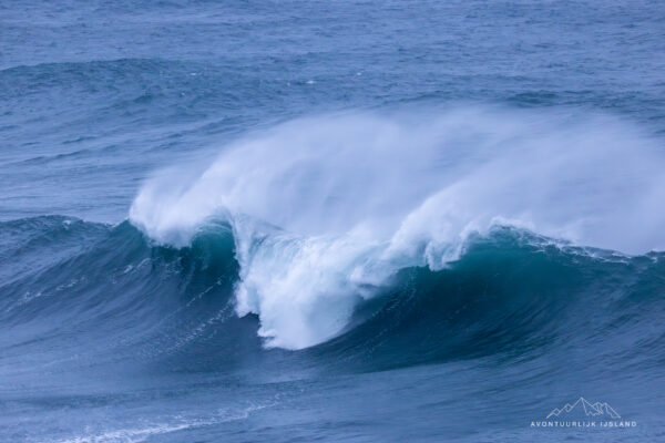 Winter en noorderlichtreis feb 2026-70