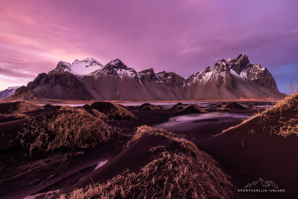 Winter en noorderlichtreis feb 2026-83