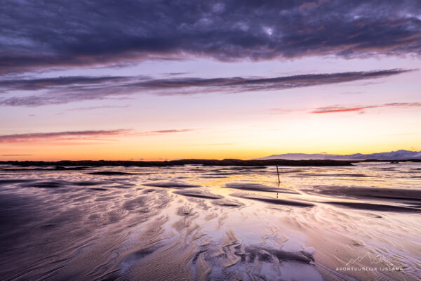 Winter en noorderlichtreis feb 2026-86