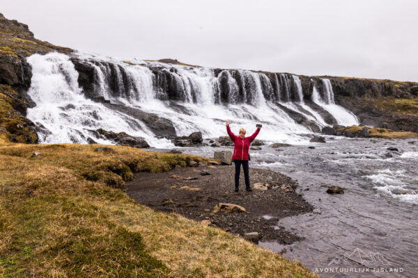 Westfjorden - Sneafellsnes reis IJsland-16