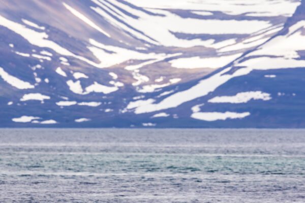 Westfjorden - Sneafellsnes reis IJsland-26