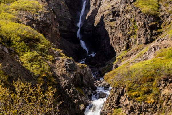 Westfjorden - Sneafellsnes reis IJsland-30