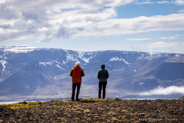 Westfjorden - Sneafellsnes reis IJsland-38