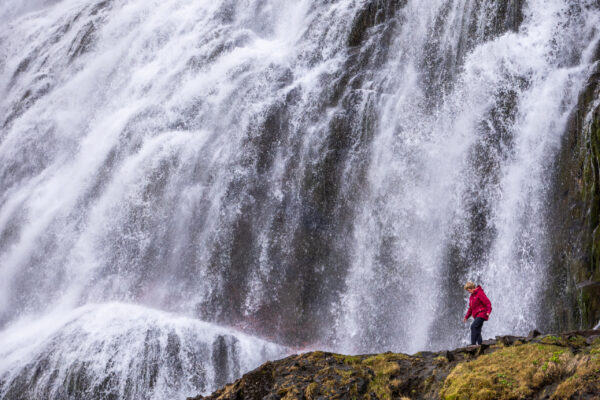 Westfjorden - Sneafellsnes reis IJsland-43