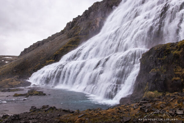 Westfjorden - Sneafellsnes reis IJsland-49