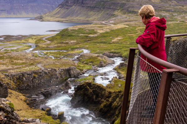 Westfjorden - Sneafellsnes reis IJsland-50