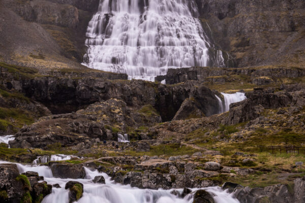 Westfjorden - Sneafellsnes reis IJsland-51