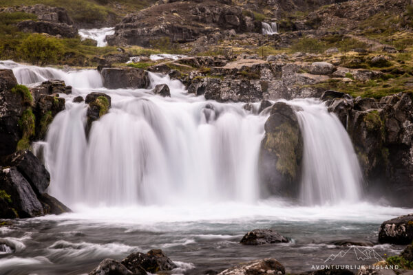 Westfjorden - Sneafellsnes reis IJsland-52