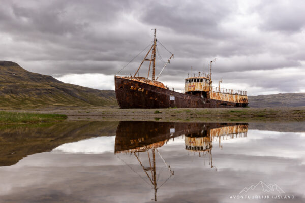 Westfjorden - Sneafellsnes reis IJsland-56
