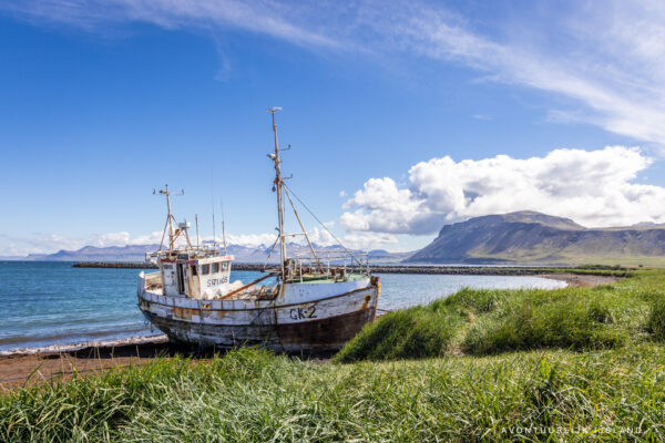 Westfjorden - Sneafellsnes reis IJsland-61