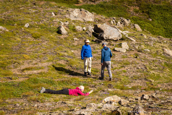 Avontuurlijk Rondje IJsland (juli)-38